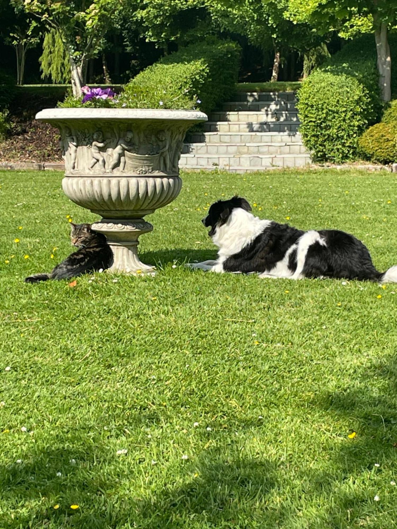 Castledale Bed & Breakfast Sligo Luaran gambar